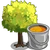 Silver Maple Tree-icon.png