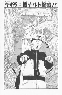 Chapter 495