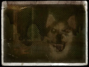 Smiledog original