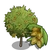 Dwarf Almond Tree-icon.png