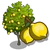 Ponderosa Lemon Tree-icon.png