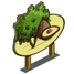 Hass Avocado Tree