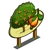 Wild Cashew Tree