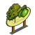 Key Lime Tree