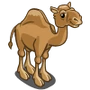 Camel-icon