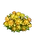 Yellow Mums-icon