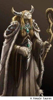 20101111193306!Female-tauren-shaman.jpg