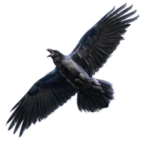 Huge item raven 01.png