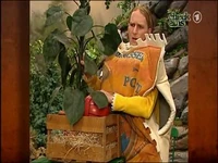 Folge2560-3
