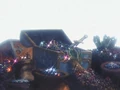 PirateShipTreasure