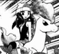 Ponyta de Platina