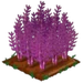 Purple Asparagus extra100