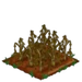 Purple Asparagus withered
