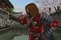 DOA4 Hayate 4