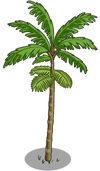 Peach Palm Tree1-icon