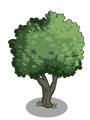 Elberta Peach1-icon