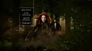 ImagesCASW81G9