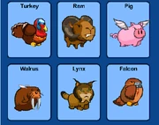 Mini Pets