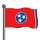 Tennessee Flag-icon