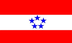 MT Flag.png
