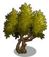 Olive1-icon
