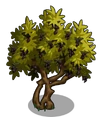 Olive2-icon
