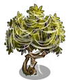 Olive4-icon