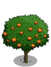 Orange2-icon