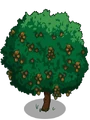 Walnut2-icon
