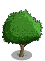 Wax Apple1-icon