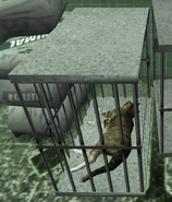 Gato Manhunt 2