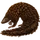 Item pangolin 01