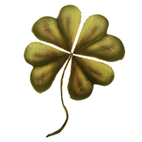 Huge item driedclover 01.png