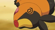 EP670 Tepig debilitado