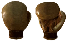 FNVBoxingGloves