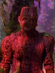 Trevis der Baumgeist
