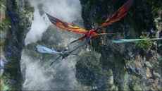 3 leaders flying together