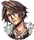 Dissicon ff8 Squ1