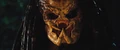 Predatorprofile07