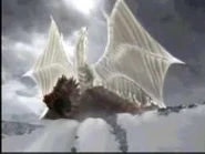 Kushala