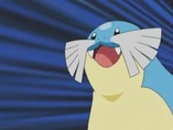 EP312 Sealeo