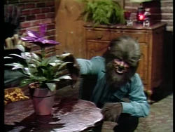 944