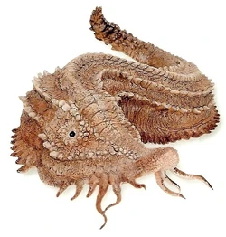 Duracrete slug.jpg