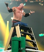Kane ladder