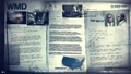 WMD intel
