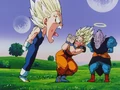 FunnyVegetaGokuOldKai
