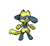 Riolu NB variocolor