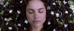 Amidala en su Funeral