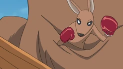 Little Kangaroo