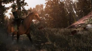 Rdr undead cougar03